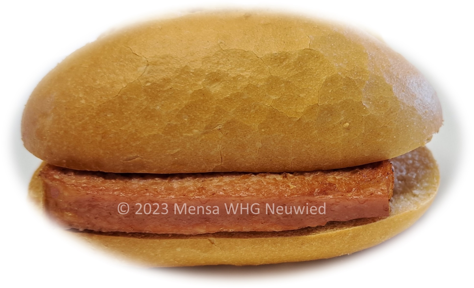 Geflügel-Fleischkäse